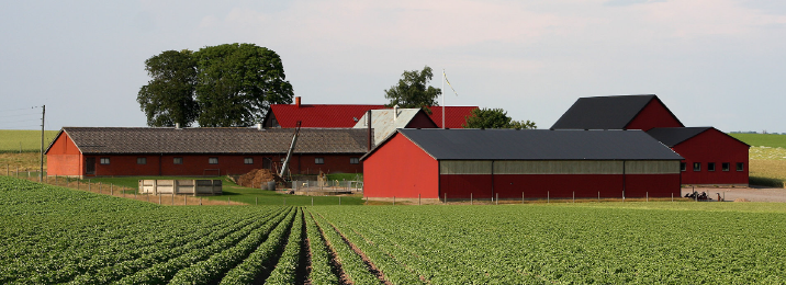 Agriculture & Forestry logotype 70